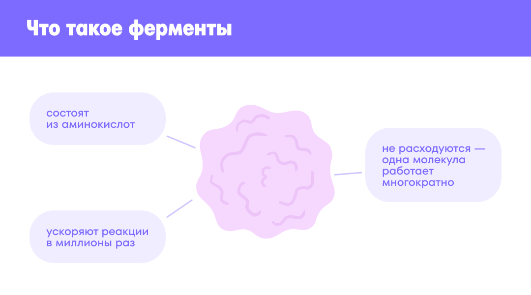 Что такое ферменты